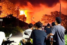 Pabrik Busa Chengqi Industrial Indonesia Jepara Kembali Terbakar, Kerugian Ditaksir Rp 3 Miliar