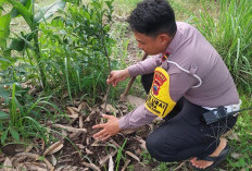 Jelang Kenaikan Pangkat Personel, Kapolres Tegal Tekankan Peningkatan Pengabdian dan Kepedulian Lingkungan
