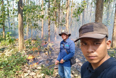 Jaga 3.553 Hektare Hutan Batang, BKPH Subah: Sudah Ada Kebakaran 1,5 Hektare