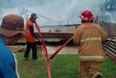 Ditinggal Pergi ke Sawah, Rumah Warga Boloh Dilahap si Jago Merah 