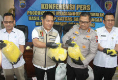 Polda Jateng Bongkar Produksi Mi Basah Berformalin di Boyolali, Kapasitas Capai 1,5 Ton per Hari