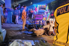 Kuda Wisata Mengamuk, Hantam Pengendara Motor Wanita di Jepara