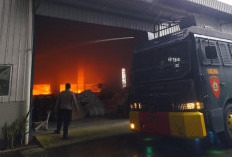 Polisi Selidiki Kebakaran Pabrik Busa PT Chengqi Industrial Indonesia Jepara, Ini Hasilnya