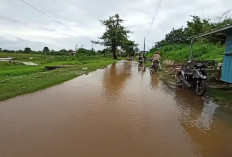 Hujan Deras Picu Sungai Plumbon Meluap, Tiga RW di Mangkang Kulon Terendam