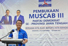 Merasa Berjuang Sendiri, Ketua DPC Demokrat Solo Pilih Mundur dari Jabatan