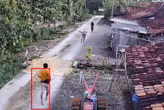 Aksi Brutal Duda Depresi di Grobogan Tewaskan Lansia dan Lima Korban Terluka 