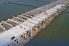 Proyek Giant Sea Wall Jawa Tengah Diprotes, Dianggap Berpotensi Matikan RUang Hidup Masyarakat Pesisir