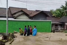Tanggul Kali Jawik Kudus Jebol Dihantam Banjir, Merendam Pemukiman Warga Desa Pladen