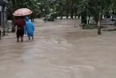 Diguyur Hujan Lebat, 12 Desa di Grobogan Banjir Akibat Sungai Meluap, Kini sudah Surut