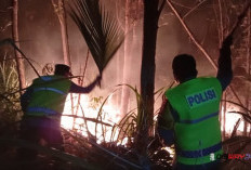 Lahan Warga di Kebumen Terbakar Tengah Malam, Api Meluas hingga 1.205 Meter Persegi