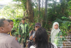 Gadis Muda Hadang Kereta di Rel KA Jurug, Warga Selamatkan    