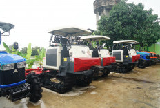 Kelompok Tani di Pati Terima Hibah Alsintan dari Kementan, Target Panen 10 Ton Per Hektare