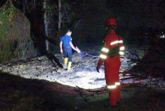 Sepekan Tiga Kali terjadi Kebakaran Lahan, Damkar Grobogan Imbau Warga Tidak Bakar Sampah Sembarangan