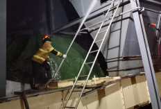 Terulang, Pabrik Wood Pellet PT SGS Kebakaran Lagi di KITB Batang, Dua Pekerja Luka