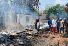 Rugi Rp100 Juta, Rumah dan Kandang  Sapi di Juwangi Boyolali Terbakar