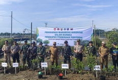 Wujud Sinergitas TNI-Polri dan Kepedulian Lingkungan, Gelar Penanaman Mangrove Serentak di Tegal