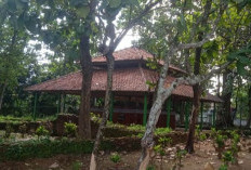Misteri Makam Tua Adiwerna, Benarkah Jejak Sejarah Tegal Awal Mula Terkubur di Sini?