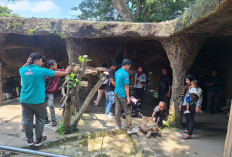 Zoonderland Semarang Zoo Jadi Magnet Libur Nataru 2025/2026, Sajikan Hiburan Keluarga hingga Forest Track