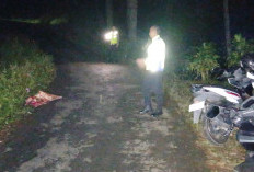 Mobil Rombongan Warog Temanggung Terjun ke Jurang di Batang, Tetap Lanjut Pentas