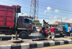 Kecelakaan Beruntun di Traffic Light Blabak Magelang: Libatkan 6 Kendaraan Diduga karena Rem Blong 