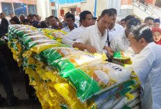 Pemerintah Indonesia Tegaskan Tak Ada Impor Beras, Menko Zulhas: Gak Ada, Nol! 