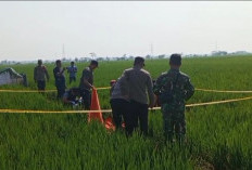 Perangkat Desa Kalipancur Ditemukan Tewas di Sawah, Jasad Penuh Lumpur