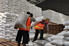 Stok Melimpah, Sragen Jadi Penyumbang Beras se Solo Raya di Gudang Bulog
