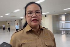 Usai Harimau Putih Anggun Mati, Semarang Zoo Berpeluang Dikelola Pihak Ketiga, Wali Kota: Satwa Tak Bisa Menun