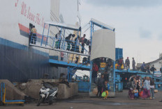 Gelar Patroli Terpadu di Nataru, Karantina Jateng Perketat Pengawasan di Tanjung Emas
