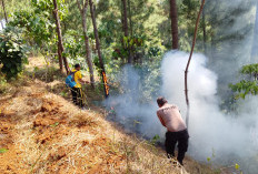 Hutan Pinus Karanggayam Kebumen Terbakar, Pemadaman Secara Manual 