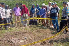 Identitas Kerangka Manusia di Hutan Rembang Terungkap, Polisi Buka Suara