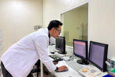 Kasus Stroke Tembus 500 Ribu per Tahun, Banyak Menyerang Usia Produktif