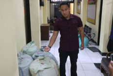 Terdesak Utang, Pekerja Bangunan di Magelang Curi Ratusan Kilogram Kapulaga Milik Majikan