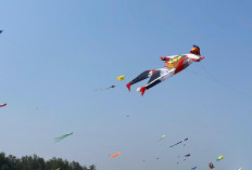 Ribuan Layang-Layang Hiasi Langit Pantai Ketawang, Festival Nasional 2026 Dongkrak Ekonomi Purworejo
