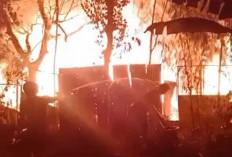 Gudang Kayu di Tembalang Semarang Ludes Terbakar, Atap Bangunan Ambruk, Tidak Ada Korban Jiwa