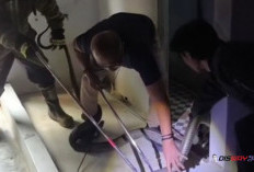 King Cobra 3,5 Meter Masuk Rumah Warga Purworejo, Bersembunyi di Atas Kandang