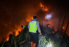 1,5 Hektare Lahan Perhutani di Karanggayam Kebumen Terbakar