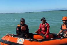 Hari Keempat Pencarian Nelayan Hilang di Perairan Asemdoyong Pemalang Nihil, BPBD: Laut yang Disisir San