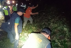 10 Kecamatan Terdampak Cuaca Ekstrem, Subah Paling Parah, Jalur Pantura Batang Lumpuh