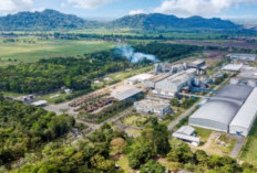 Kinerja Semester I 2026 Positif, SGN Perkuat Akselerasi Produktivitas dan Transformasi Perusahaan
