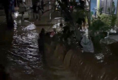 Talut Sungai Plumbon Jebol, Ratusan Rumah di Mangunharjo Semarang Terendam Banjir