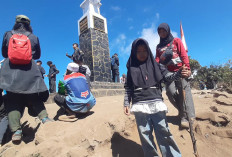 Berharap Bertemu Kucing, Anjani Bocah 7 Tahun Berhasil Hingga Puncak Gunung Lawu via Cemoro Sewu