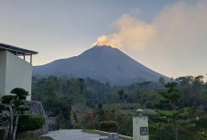 Aktivitas Gunung Merapi Berpotensi Berbahaya, BPPTKG : Lima Kali Guguran Lava