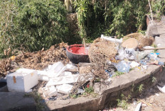 TPS ABC memang Tutup Permanen, Tapi Bantaran Sungai Dibelakangnya Penuh dengan Sampah Sulit Didaur Ulang