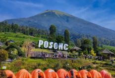 Satu Keluarga Asal Ambarawa Ditemukan Tewas dalam Tenda Camping Posong Temanggung, Diduga Akibat Keracunan 