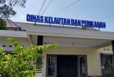 Teknologi Geomembran Tingkatkan Mutu Garam Pati 