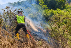 Sinergi Sigap! Polri, TNI, dan Relawan Gercep Padamkan Karhutla di Hutan Pinus Gunung Anjing Tegal