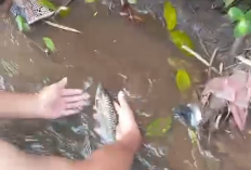 Sungai Serang Tercemar Misterius, Warga dan Babinsa Desak Usut Tuntas Pembuang Limbah