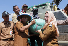 Produksi Padi Brebes Tembus 605Ribu Ton, HPP Rp6.500 Dorong Kesejahteraan Petani dan Ketahanan Pangan Nasional