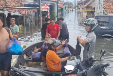 Banjir Kota Pekalongan Semakin Meluas, Pengungsi Bertambah
